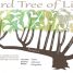 BirdTreeofLife-Illinois