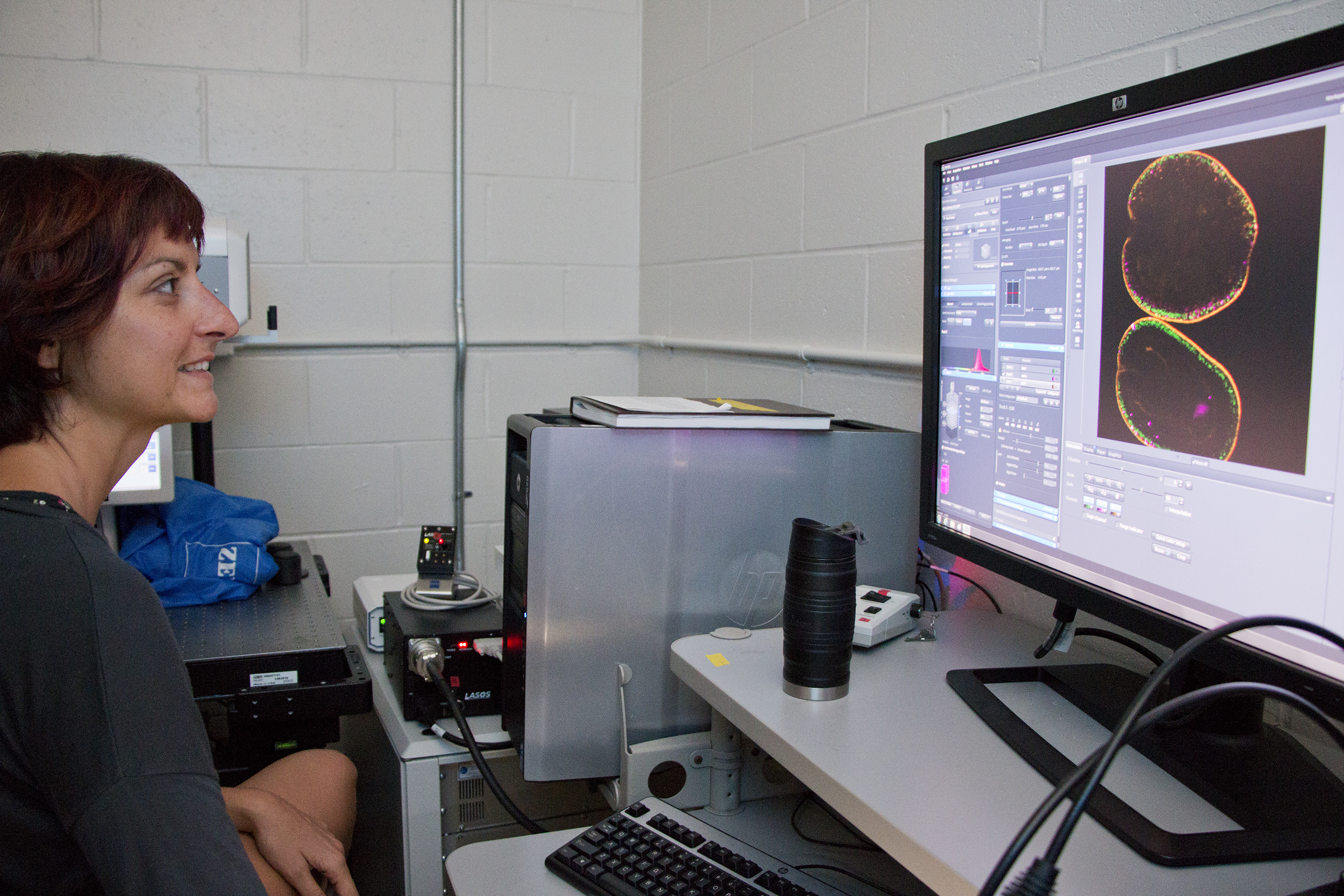 Marta Chiodin, a postdoc in the Ryan Lab, uses a confocal microscope to analyze a tumor-supressing gene.