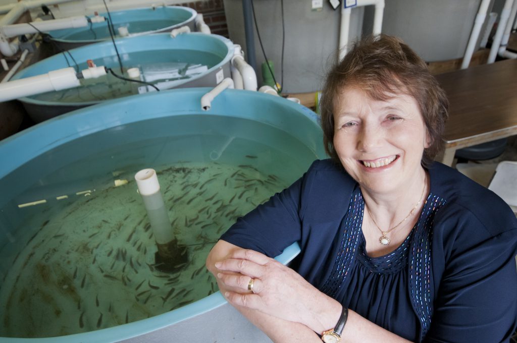 Nancy Denslow (Source: UF College of Veterinary Medicine)